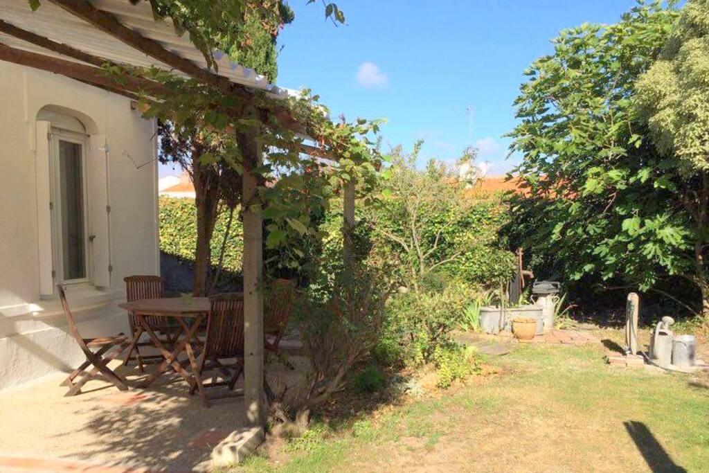 terrasse ombragée .