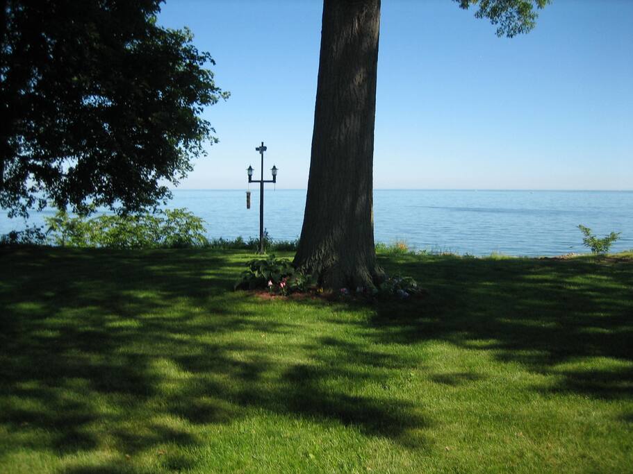 Part of our Beautiful Large Yard