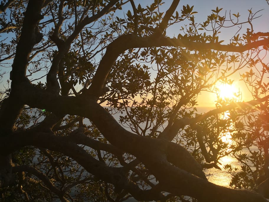 Burleigh heads national Park