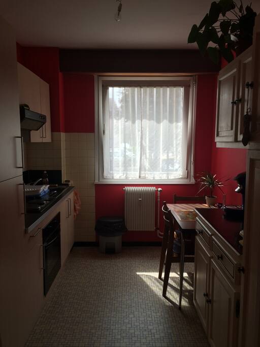 Cuisine équipée ( plaques, four, micro-onde, frigo, congélateur, hotte)