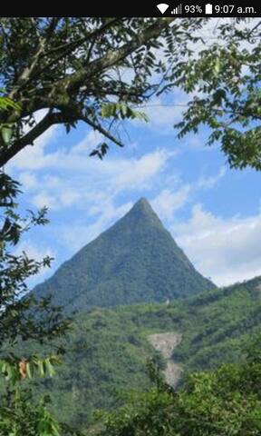 Beautiful Town House Lease Venice-Antioquia.