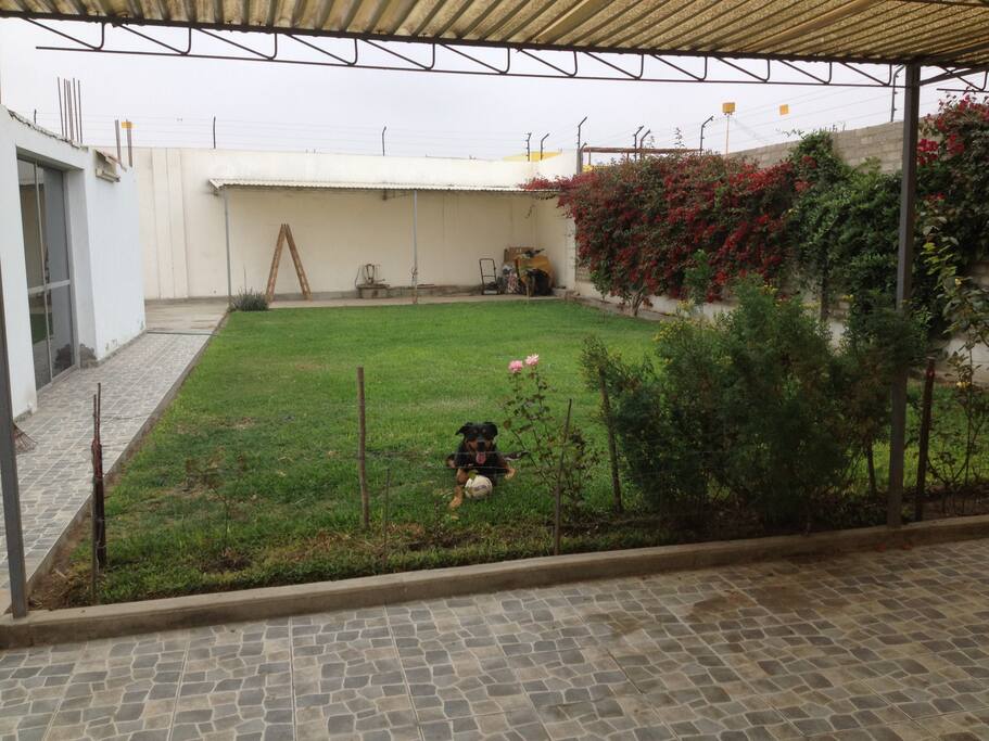 JARDIN
