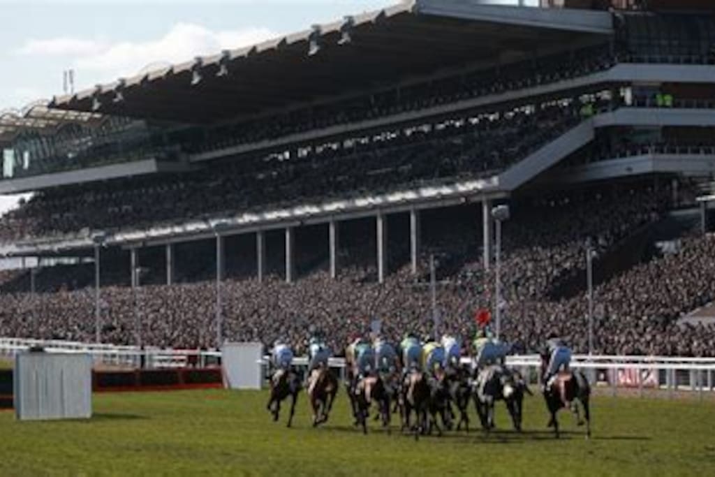 Cheltenham races
