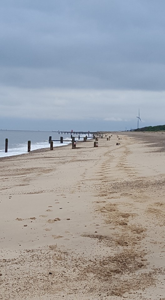 A sandy beach is shown extending along the coastline, with wooden posts positioned at intervals. Gentle waves lap at the shore under a cloudy sky. In the distance, a wind turbine can be seen on the horizon, surrounded by greenery.