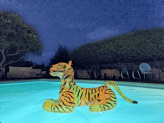 ★ Unique & Lovely on Queen Anne ★Close to Downtown gallery image 4