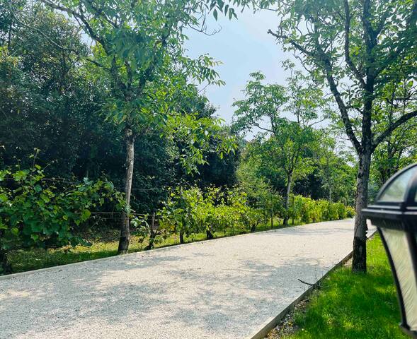 Un air tropical à Bordeaux gallery image 2