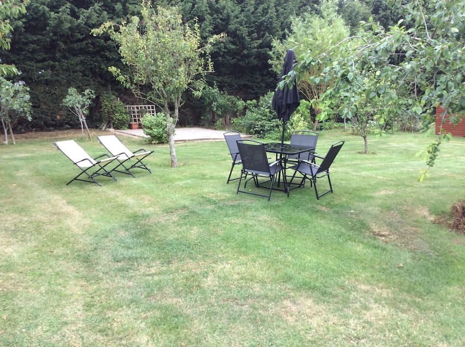 Garden and BBQ area