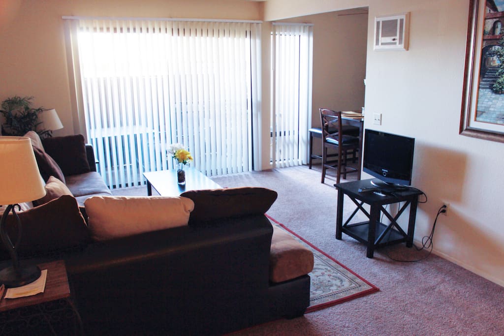 Open living room, opens into the patio, lots of sunlight