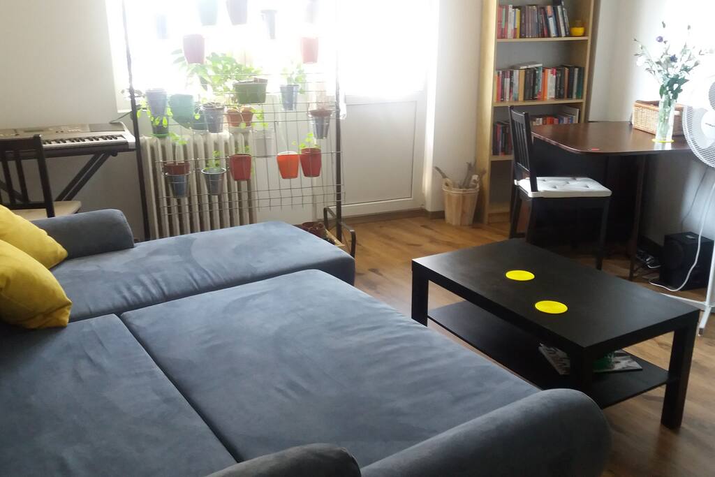 Spacious room, with enough storage space.