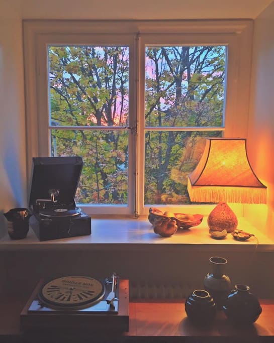 Fönster mot bakgården i vardagsrummet. Living room window.