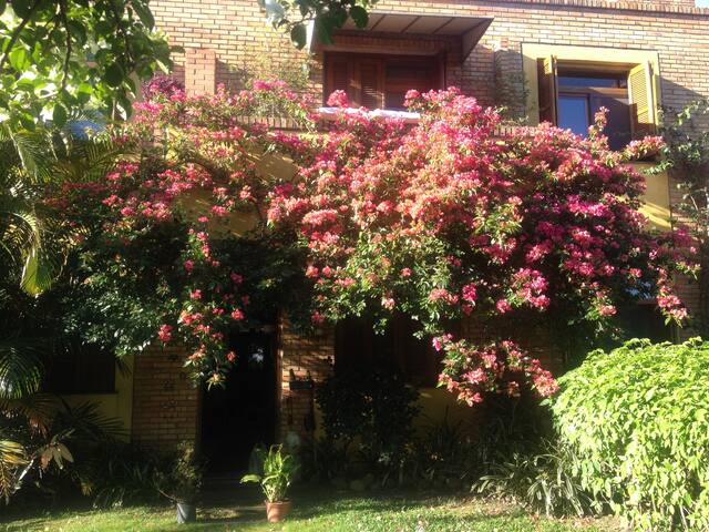 COTTAGE IN THE CITY.