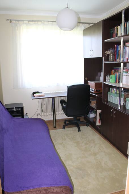 Study room with extensible couch and many books