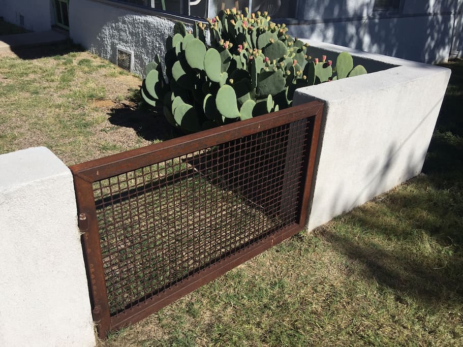 back yard entry gate