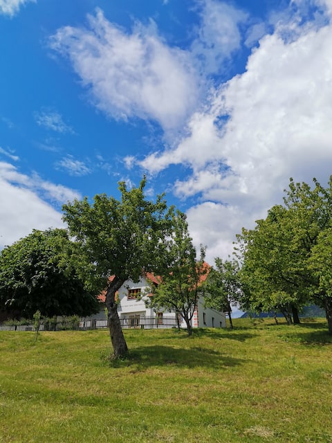 Apartment Lesjak - escape to nature