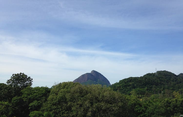 Picture Image