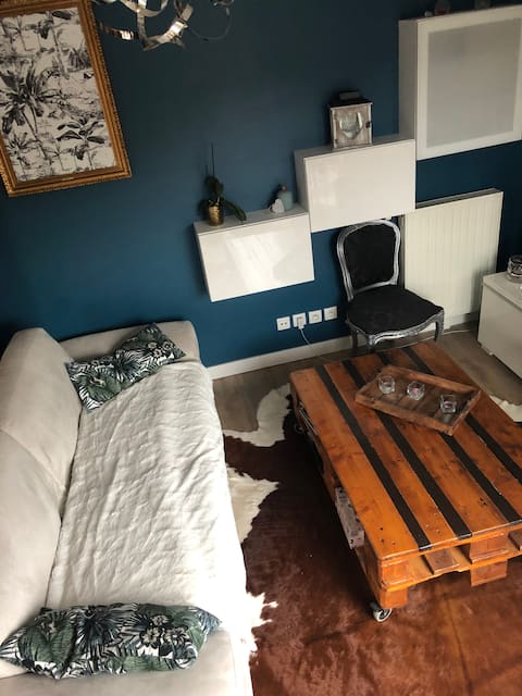 Annonce Airbnb populaire: Apartment in Mulhouse à Mulhouse