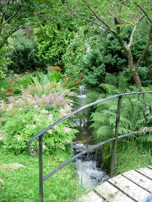 The stream in summer