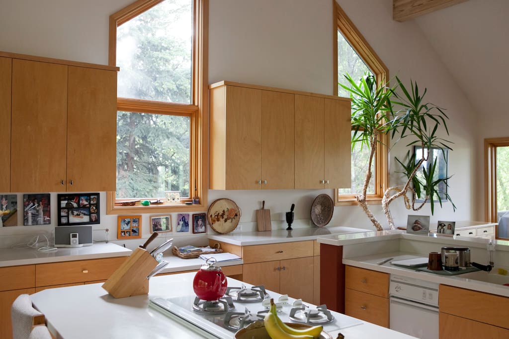 Large, spacious kitchen