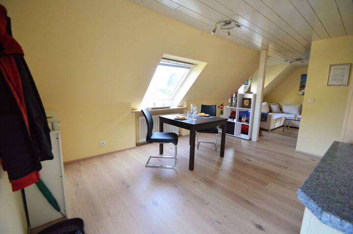 Einliegerwohnung Seevetal 7 Fussweg Zum Bahnhof Wohnungen Zur Miete In Seevetal Niedersachsen Deutschland