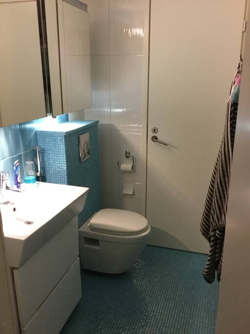 Toilet downstairs