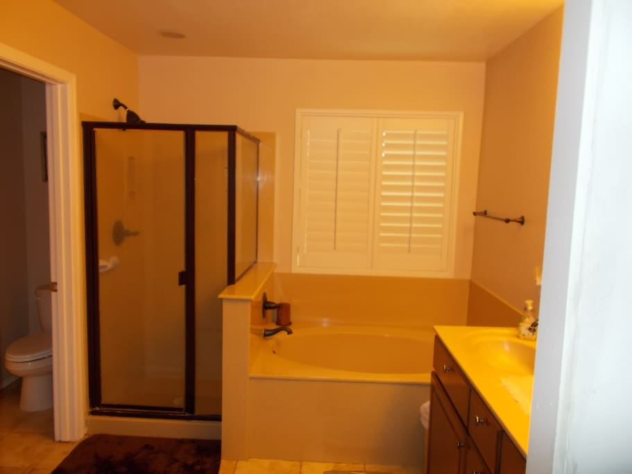 master bath with spa type tub and separate shower
