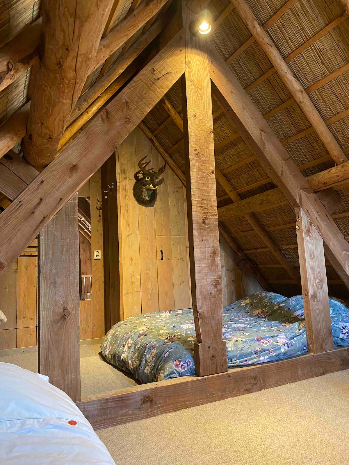 A cozy sleeping area is framed by exposed wooden beams, highlighting the pitched roof. Two spacious beds are set with floral-patterned covers, positioned against a wooden backdrop featuring a mounted deer head. Soft carpet flooring completes the inviting ambiance.