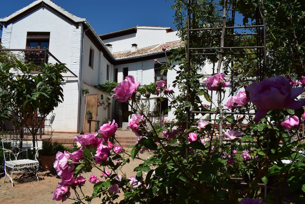 Le jardin et le Carmen