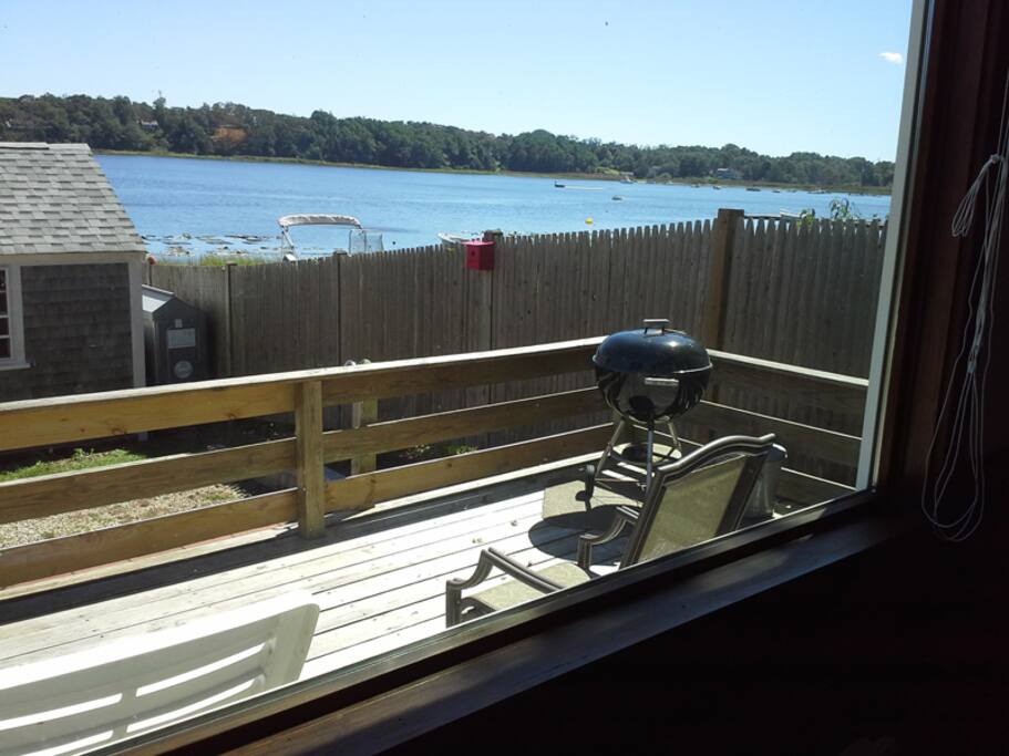 over fence to neighbors oyster farm