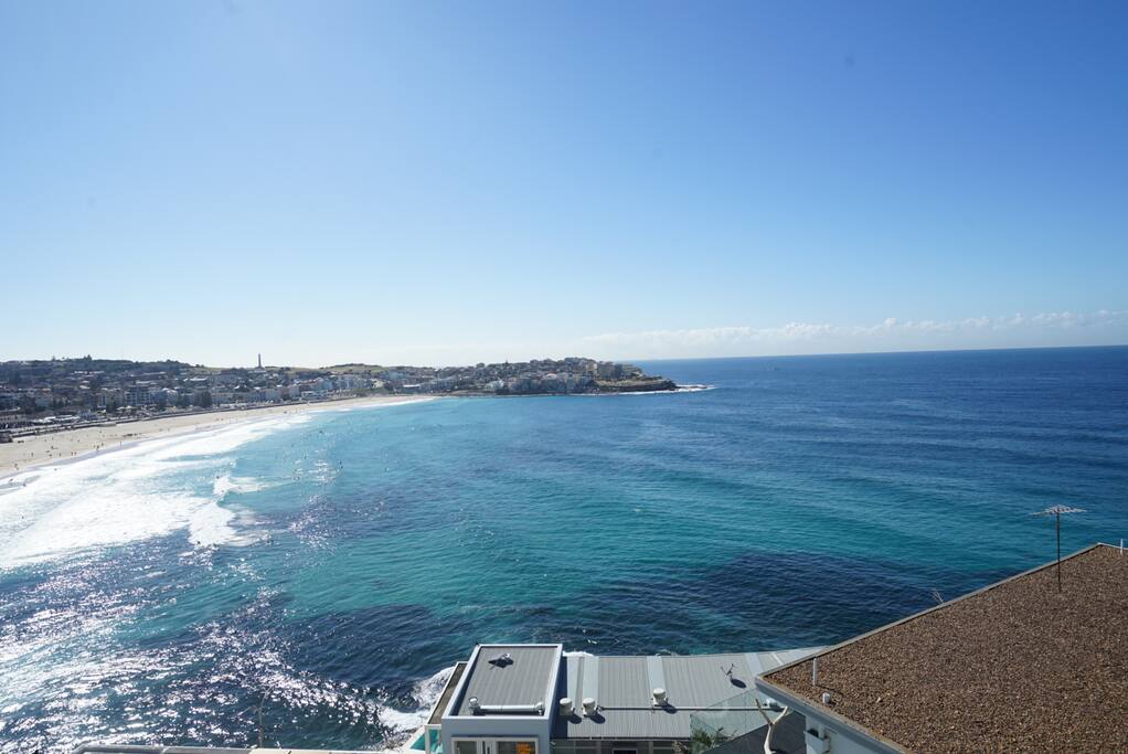 The. Actual. View.