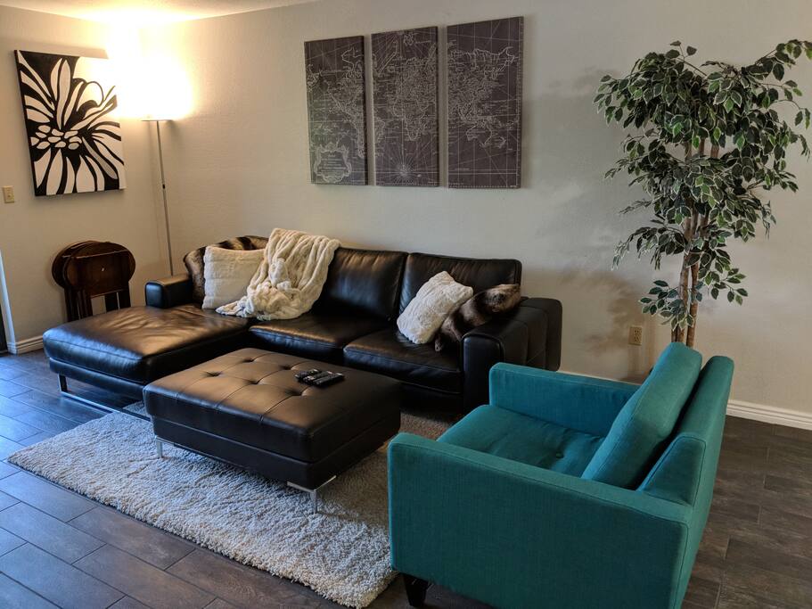 Large Living Area