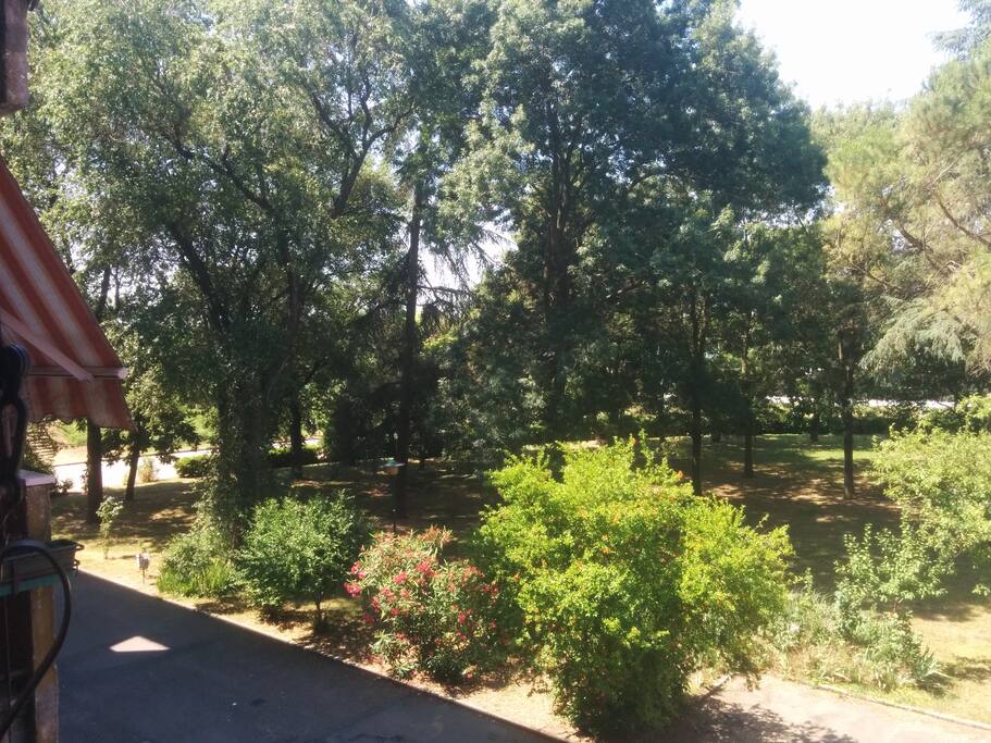 Vista Fronte