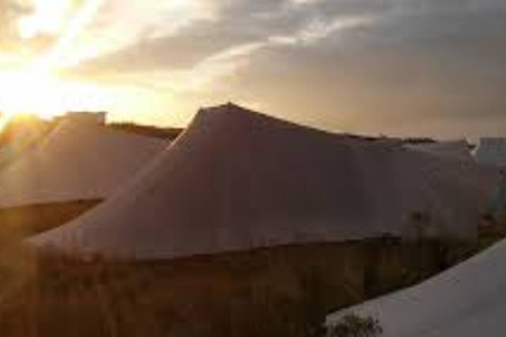 Vliebiza