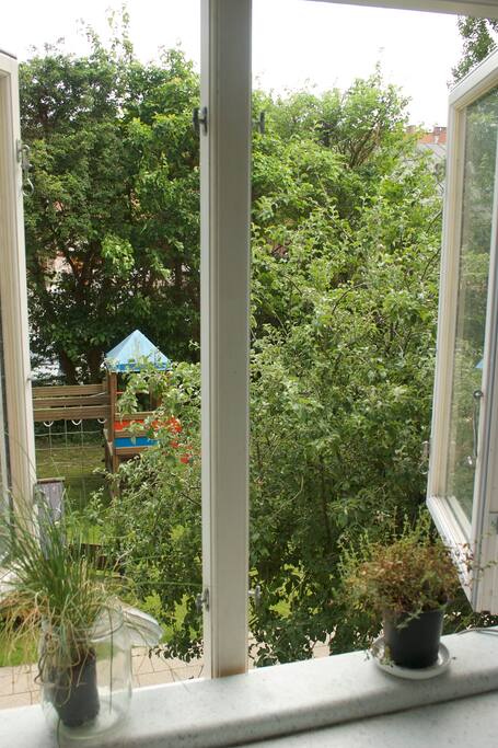 View from the kitchen to the yard