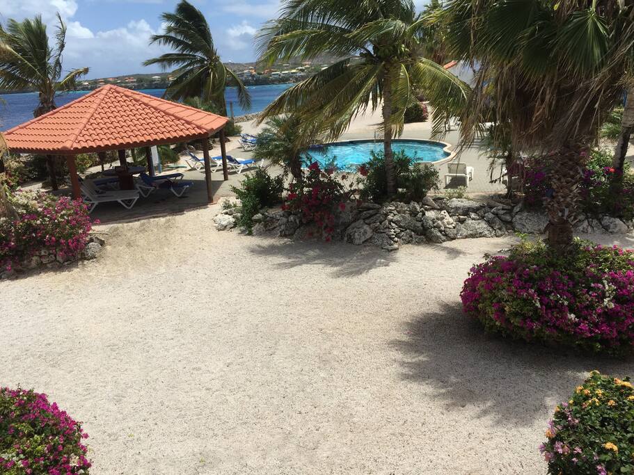 Amazing views from the covered lanai with tropical garden, palm trees, pool and ocean