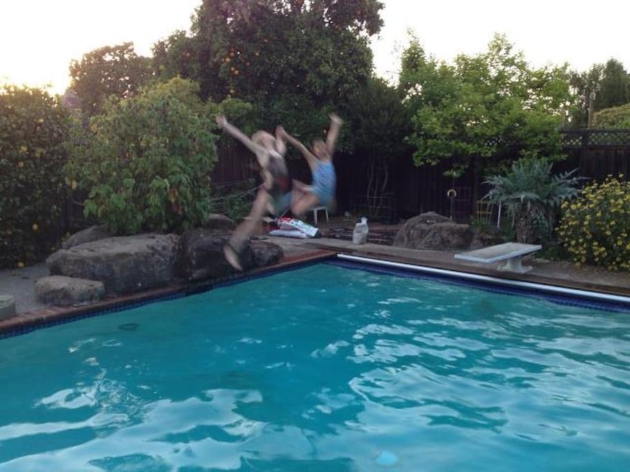 Full size pool.