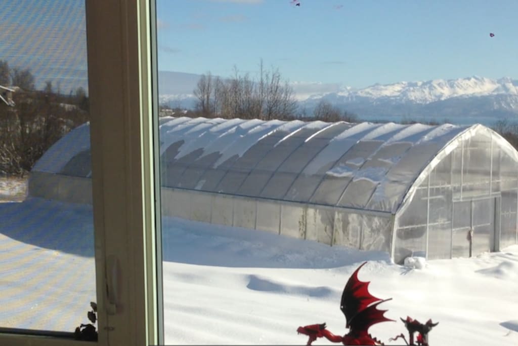view out bedroom window