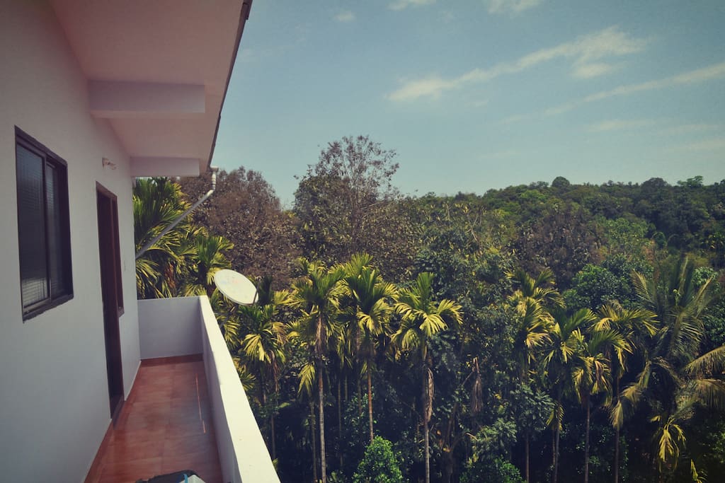 Balcony overlooking the Areca nut plantation