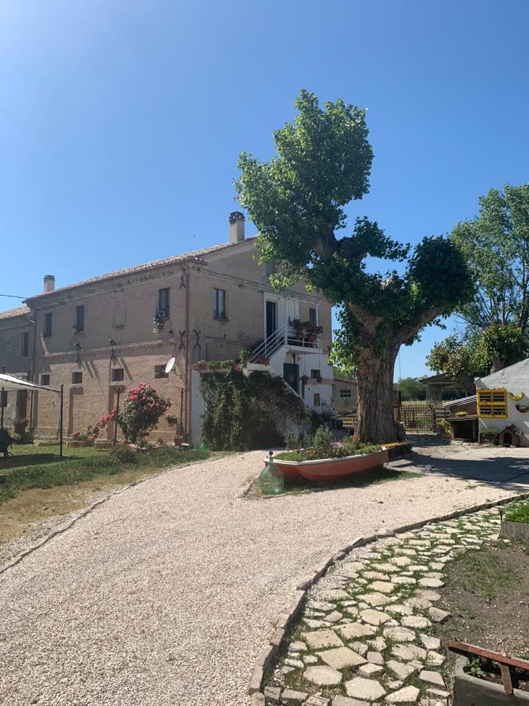 A charming countryside house is situated beside a large tree, with decorative plants adorning the exterior. A pebbled pathway leads to the entrance, flanked by greenery. The clear blue sky creates a bright and inviting atmosphere, enhancing the serene setting.