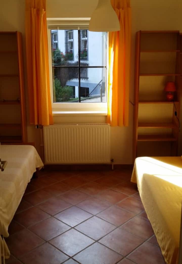 Chumba kilicho na kitanda + kitanda cha sofa cha kukunjwa