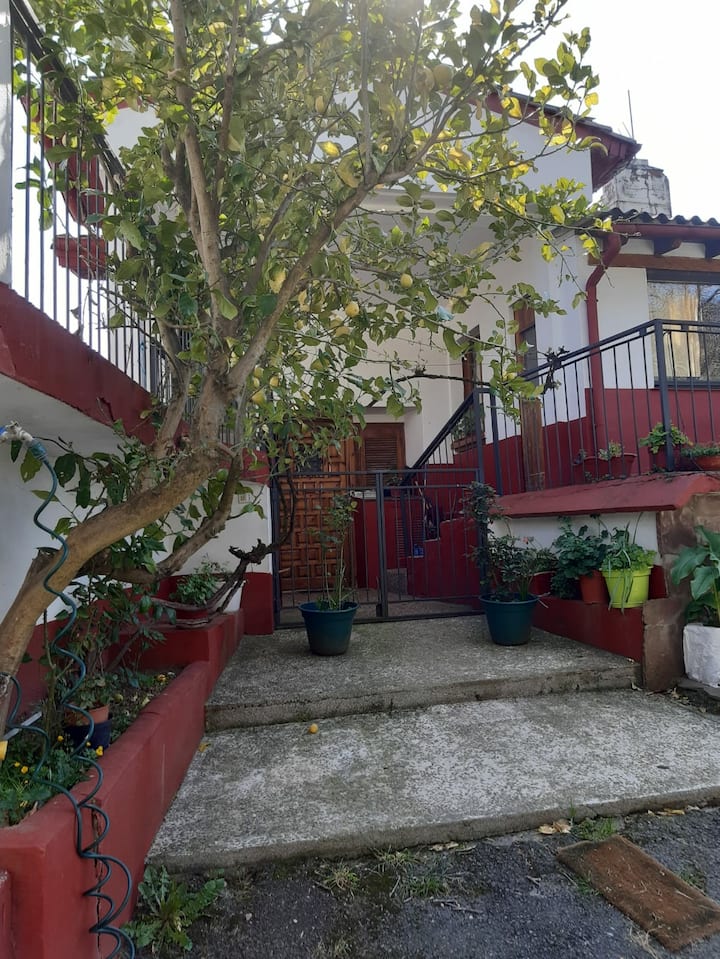 Terrace apartment near San Sebastian Apartments for Rent in Urnieta