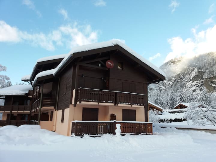 Duplex Vue Magnifique  Sur Le Mont Blanc - レ・ズッシュ