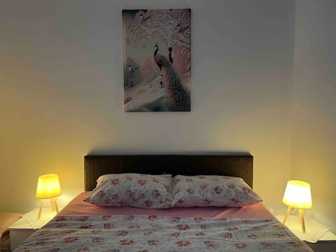 Successful Airbnb property: Nice Rosa studio air condition5٤٠ in Esenyurt