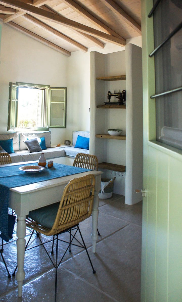 Hlavný vchod priamo do prednej miestnosti a kuchyne