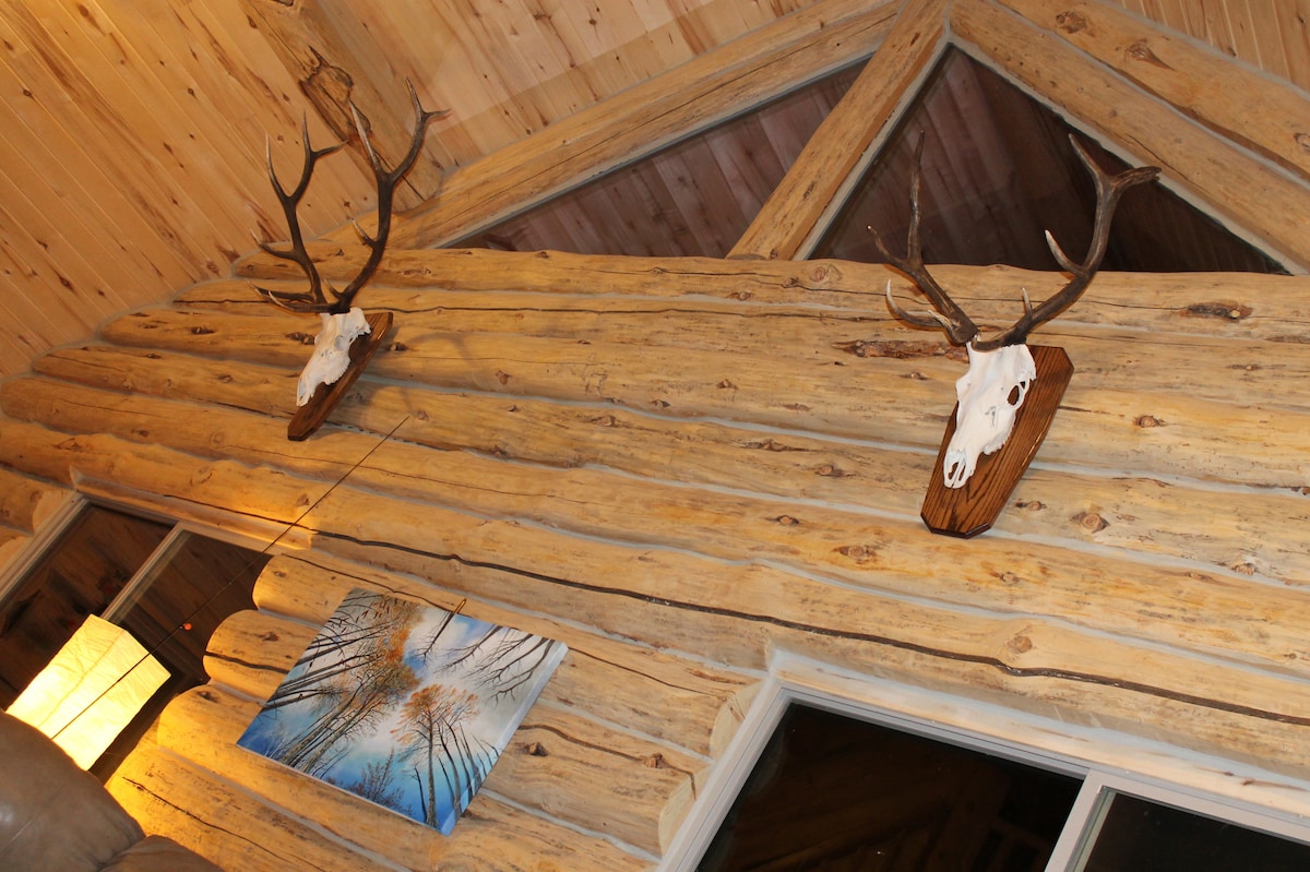 הציד נהדר באזור.  זה משטח שיגור נהדר לכל גישה בתוך יחידת CO 81 ו - NM יחידה 52.