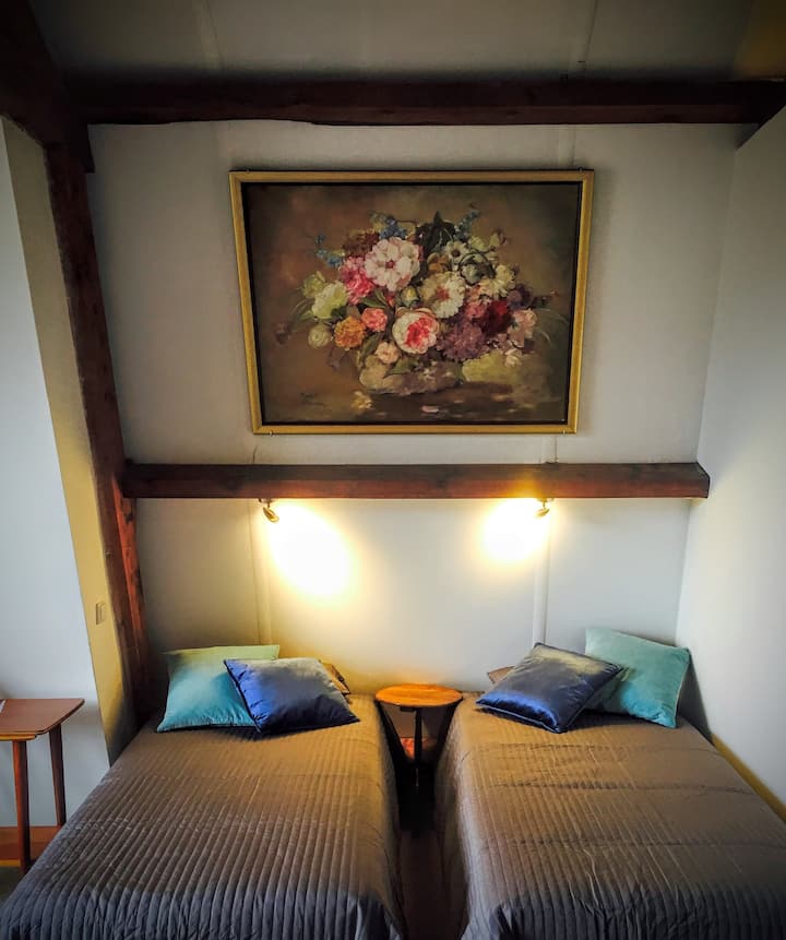 BnB Vondel Amsterdam Zuid Vondelpark Deux sommiers simples