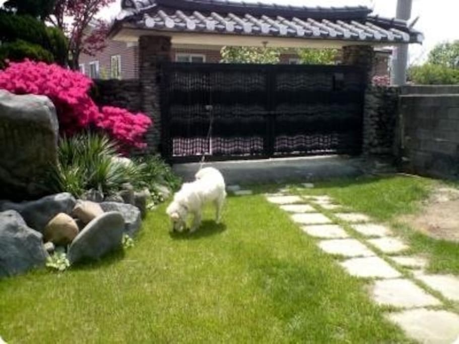 앞마당(Front yard)