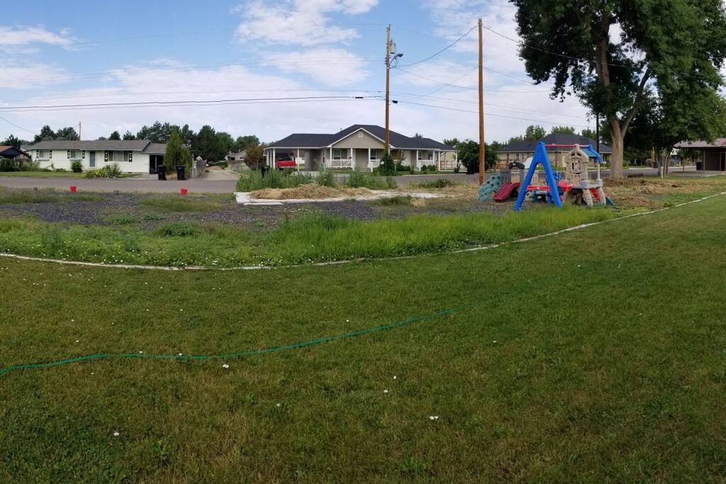 entire backyard.