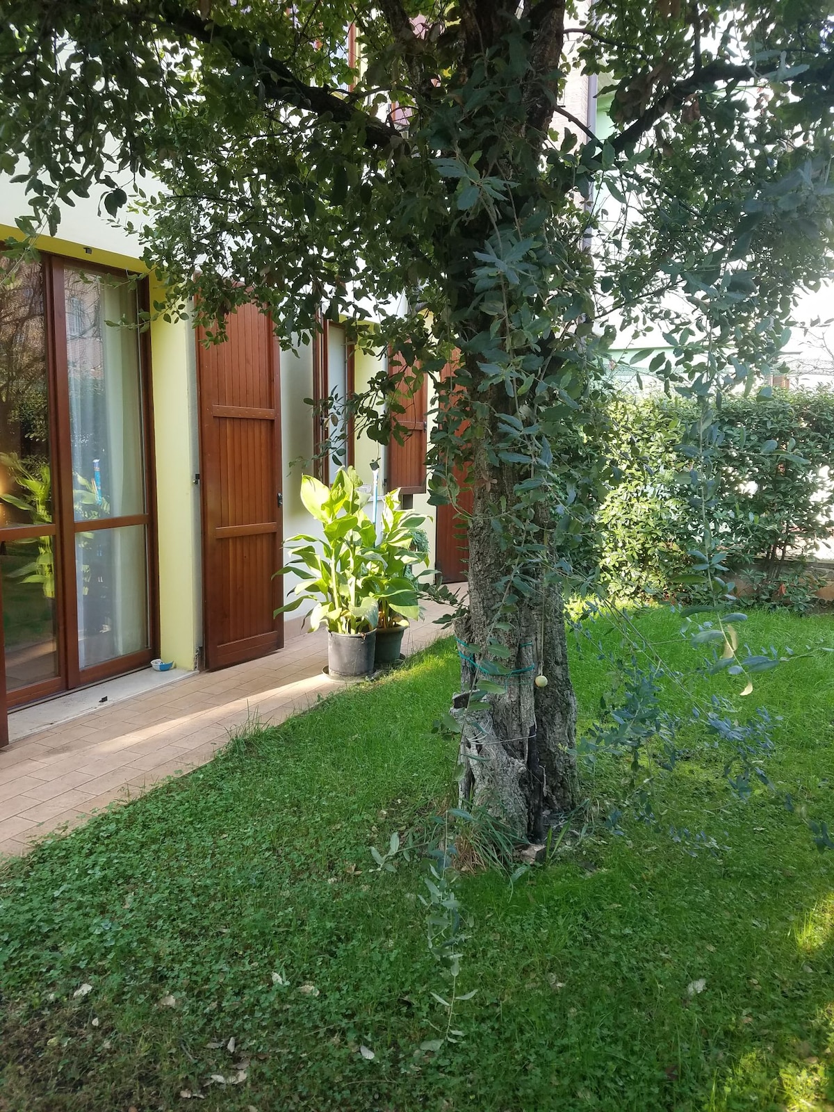 A well-maintained garden space features a lush green lawn and decorative plants. Several wooden doors are visible, leading into the apartment. A mature tree is situated near the edge of the garden, providing natural shade and greenery.