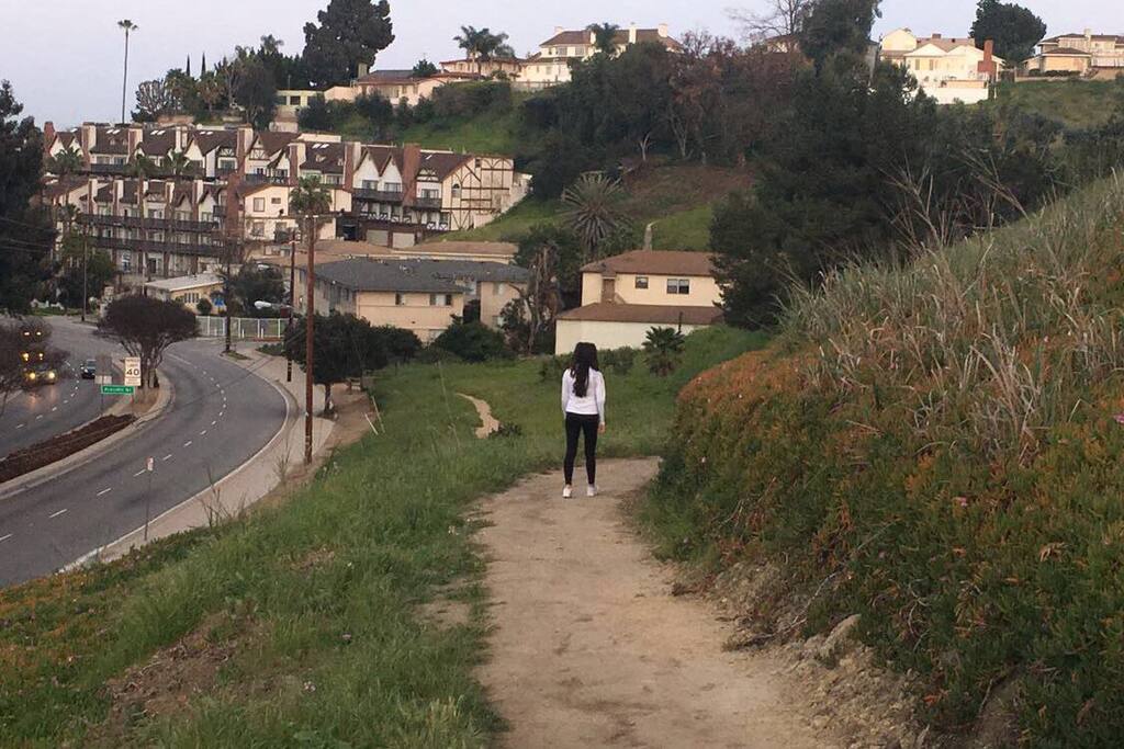 Hiking trails