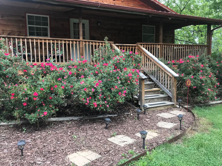 Pathway from drive way to the front door.
